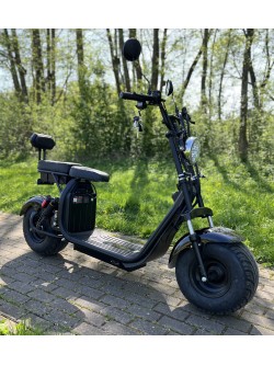 Elektrinis dviratis - čioperis Citycoco EB-X10