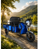 Elektrinis krovininis triratis motoroleris SL-11 