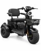 Elektrinis triratis motoroleris SL-04 OFFROAD