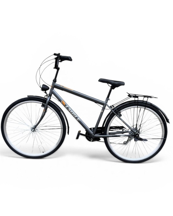Miesto dviratis Strow 28" Pilkas