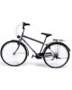 Miesto dviratis Strow 28" Pilkas