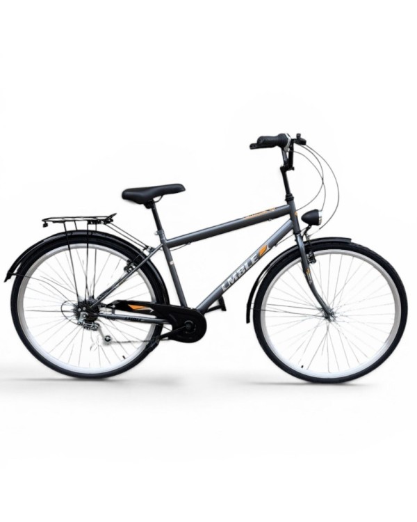 Miesto dviratis Strow 28" Pilkas