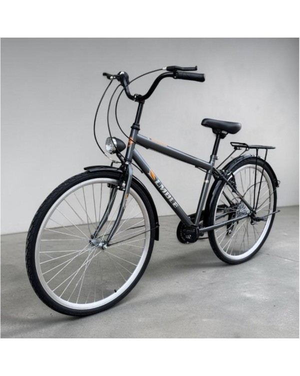 Miesto dviratis Strow 28" Pilkas