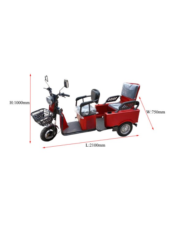 Elektrinis krovininis/keleivinis triratis SL-01 