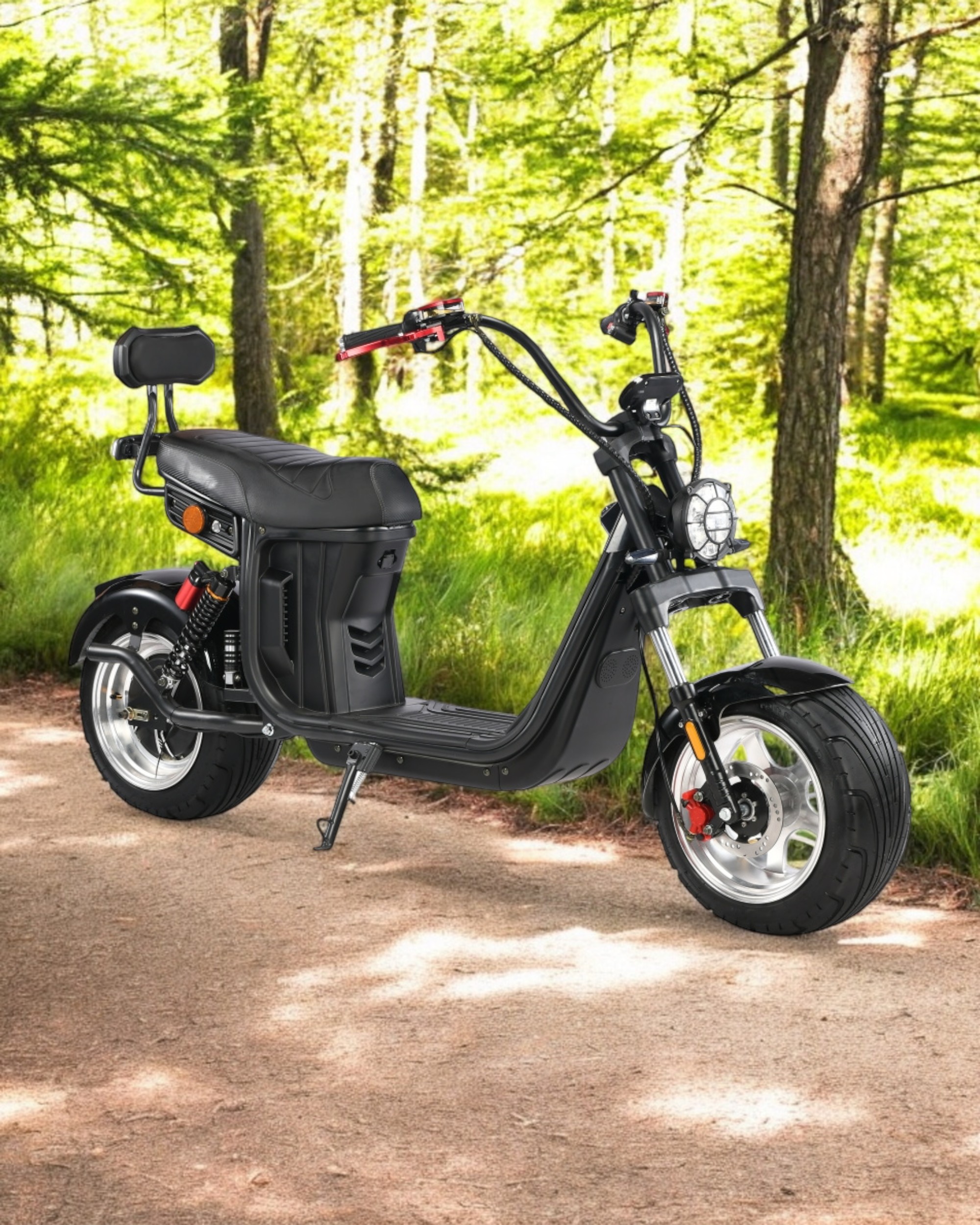 Elektrinis dviratis-čioperis Citycoco EB-X20M (1000W) | RideOn.lt
